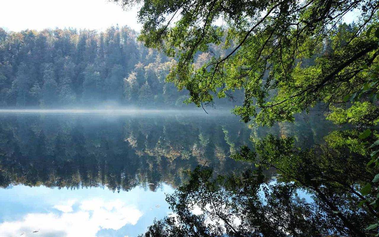 Ferienwohnung In Der Vulkaneifel "Opp Der Holl" Brockscheid Exteriér fotografie