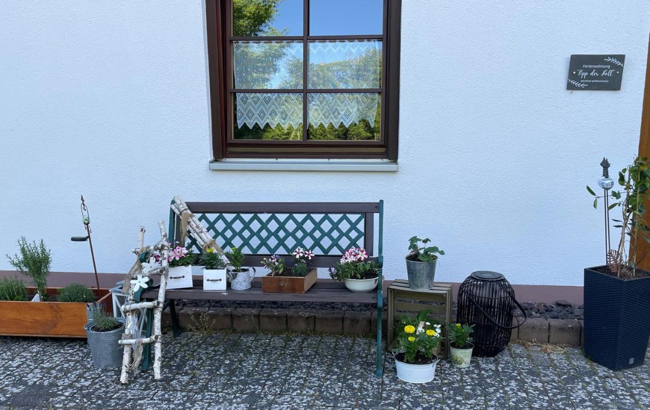 Ferienwohnung In Der Vulkaneifel "Opp Der Holl" Brockscheid Exteriér fotografie