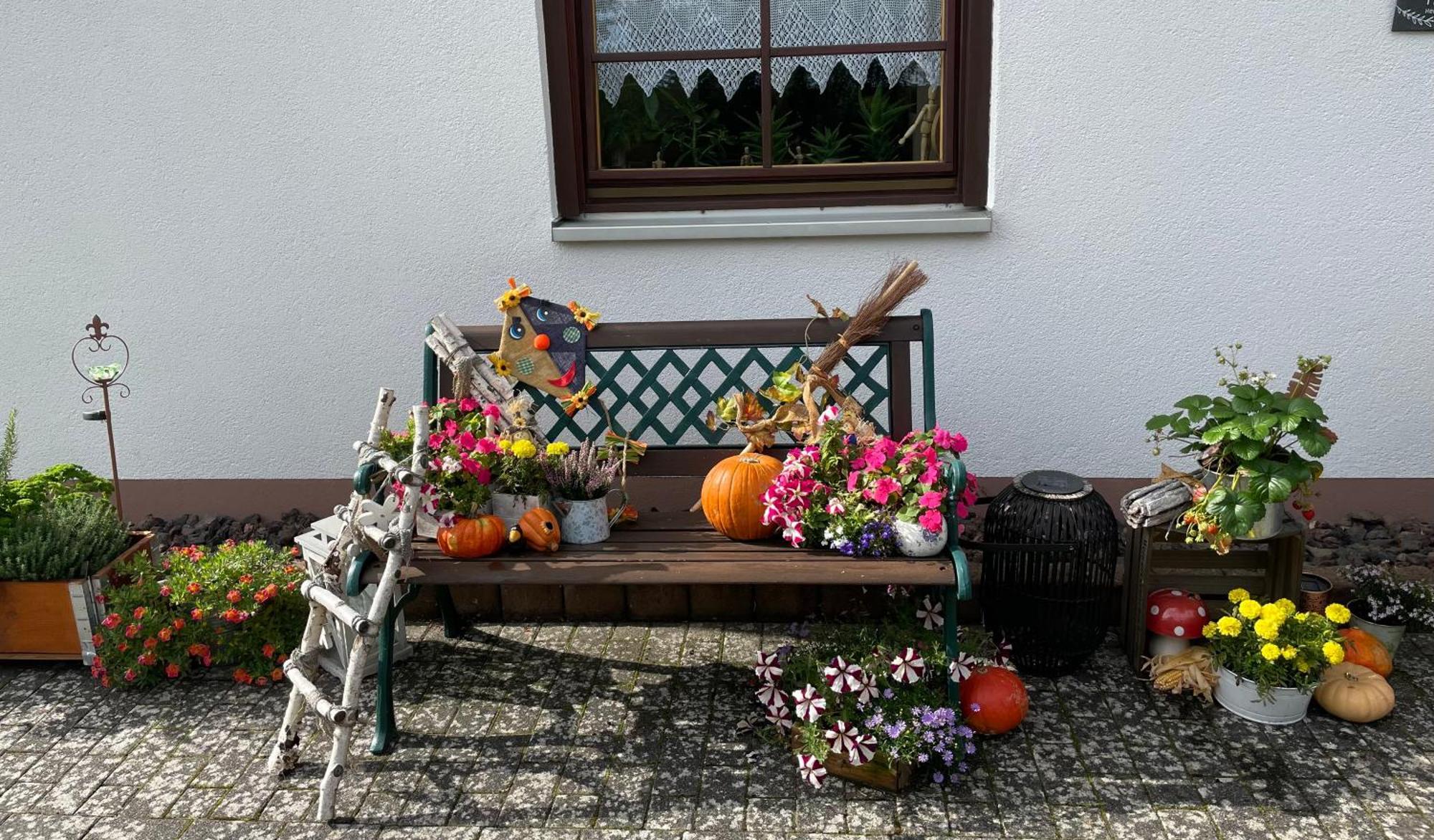 Ferienwohnung In Der Vulkaneifel "Opp Der Holl" Brockscheid Exteriér fotografie