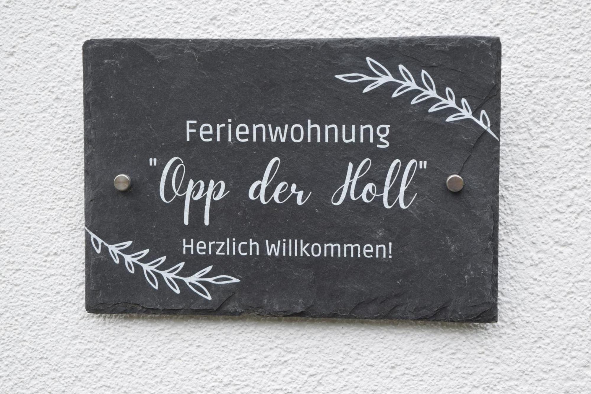 Ferienwohnung In Der Vulkaneifel "Opp Der Holl" Brockscheid Exteriér fotografie